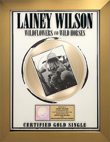 Lainey Wilson - Wildflowers and Wild Horses